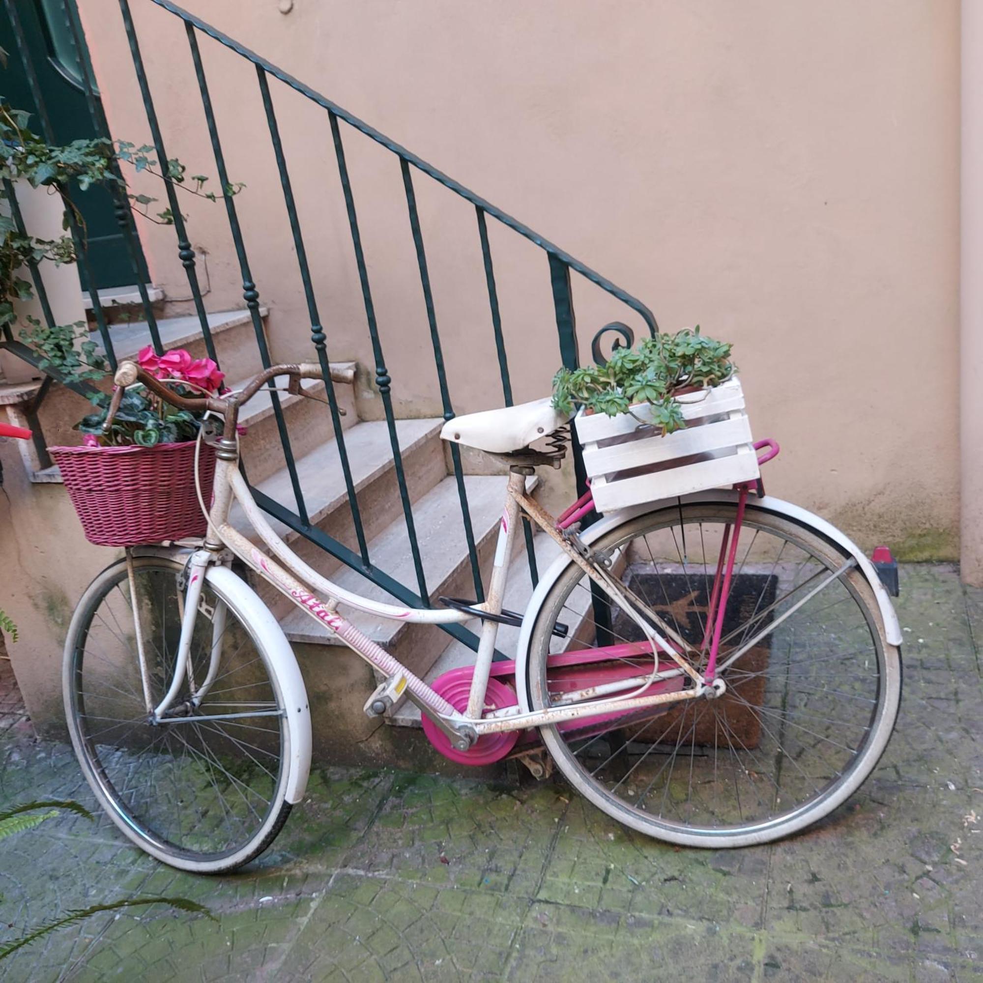 Apartamento Casa Di Camilla Roma